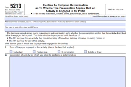 Form 5213: Election to Postpone Determination As To Whether the Presumption Applies That an Activity is Engaged in for Profit